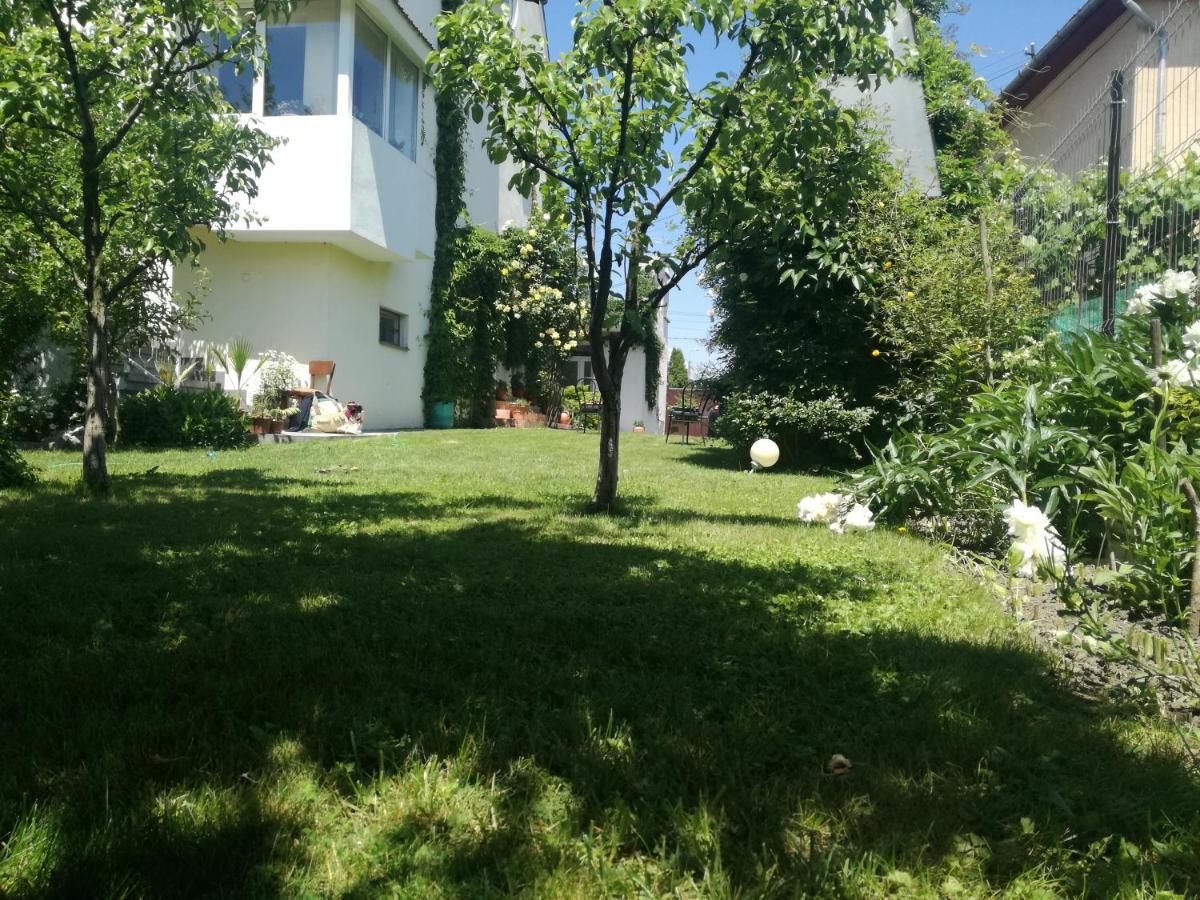 Casa Zora Apartment Alba Iulia Exterior photo